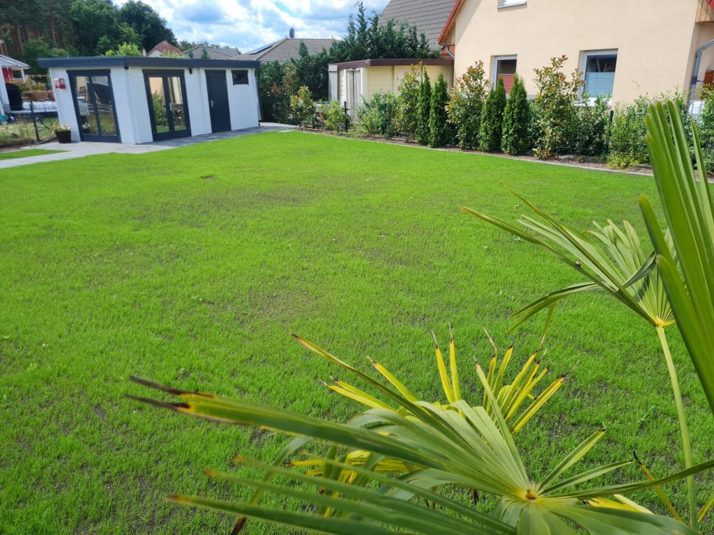 Dichter, gepflegter Rasen in einem Hausgarten