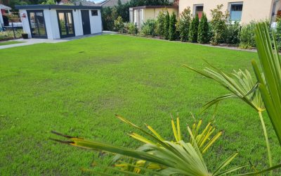 Rasenpflege im Herbst: So kommt Ihr Rasen gut durch den Winter