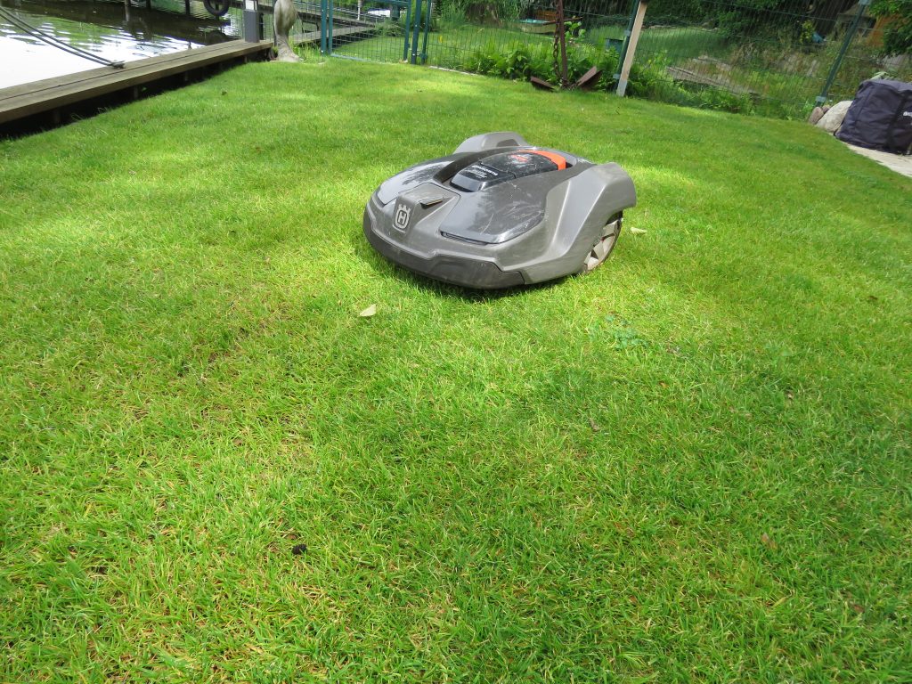 Mähroboter auf einer Rasenfläche
