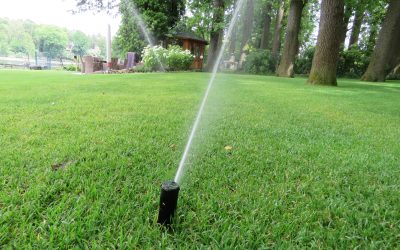 Gartenpflege im Sommer: So bleibt Ihr Garten auch bei hohen Temperaturen schön
