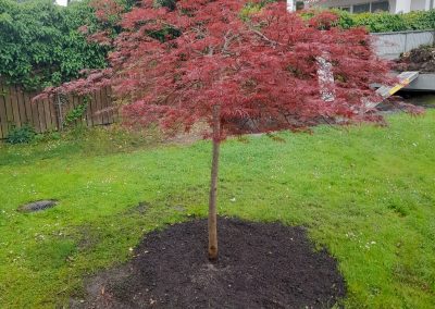 27f3cecf 2aae 4c77 9817 79b011fe03cc