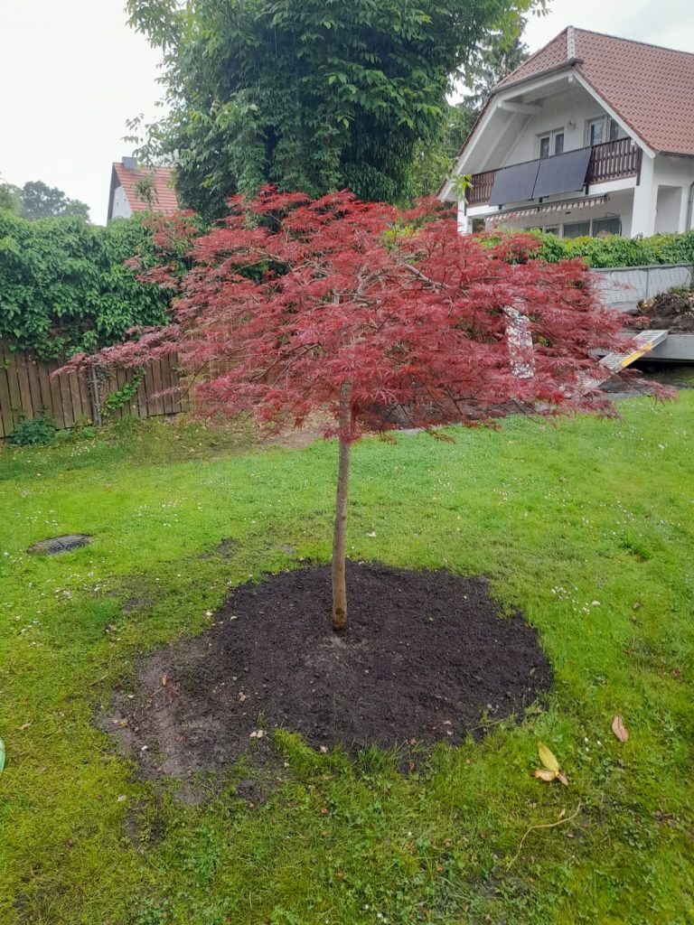 27f3cecf 2aae 4c77 9817 79b011fe03cc