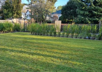 4e541193 bcf4 4102 92a6 81bb5a313042