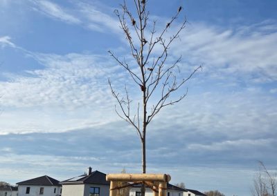 de03c80f e700 46bc 913c 064a47addd32